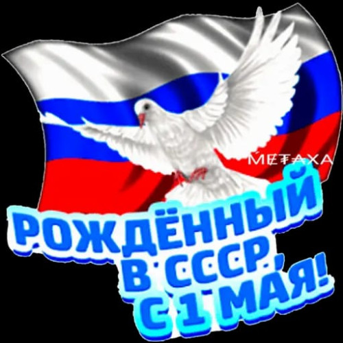 Изображение WhatsApp 2024-05-01 в 10.46.56_27ad58bb.jpg