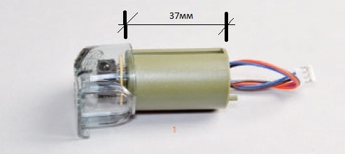 37.jpg
