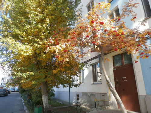PA075015.JPG