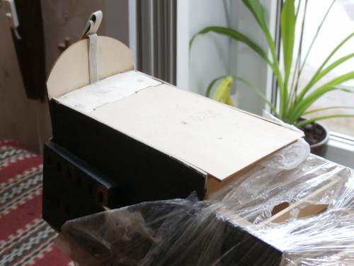 PB305074.JPG