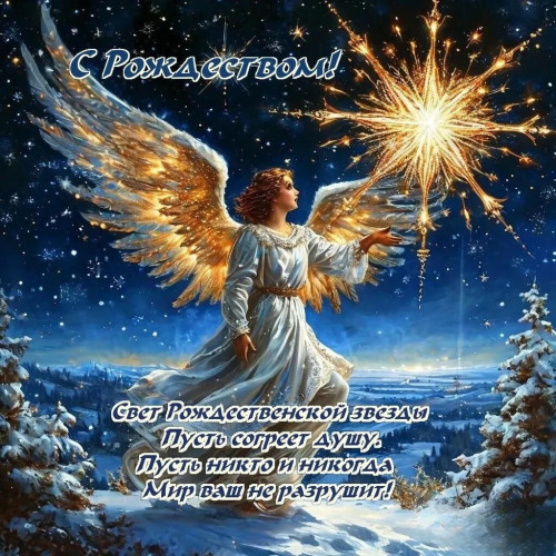 Изображение WhatsApp 2025-01-07 в 15.00.23_57ef5492.jpg