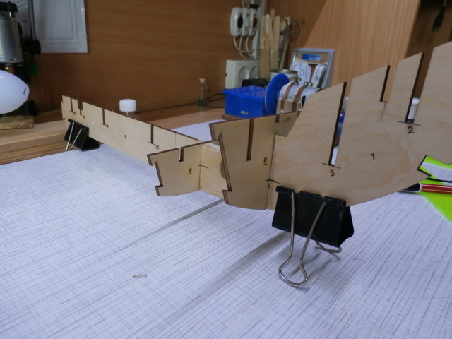 P2031408.JPG