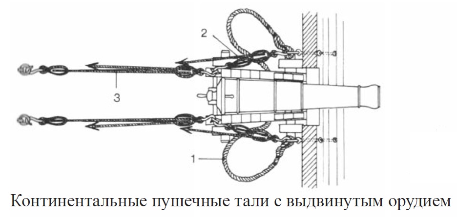 tali01.jpg